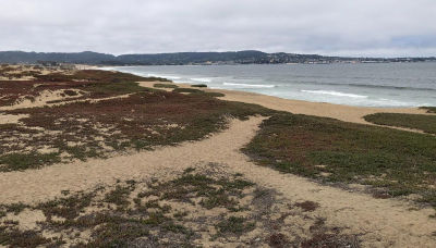 0 Tioga Ave Seaside, CA 93955