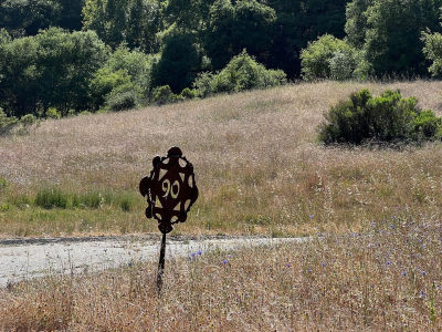 6 Arroyo Sequoia Carmel, CA 93923