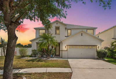 11139 Golden Silence Dr Riverview, FL 33579