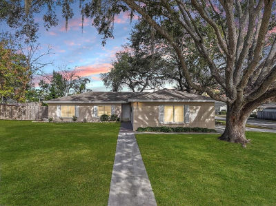 1016 Lady Guinevere Dr Valrico, FL 33594