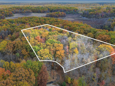 36166 Maier St #V/L Gobles, MI 49055