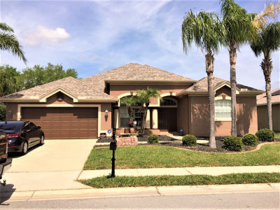 10713 Gooseberry Court, Trinity, FL, USA