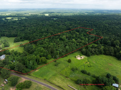 519 An County Rd #450 Palestine, TX 75803