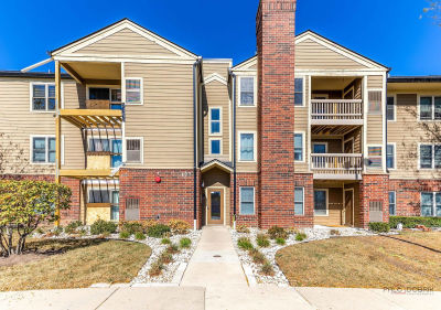 127 Glengarry Dr APT 307 Bloomingdale, IL 60108