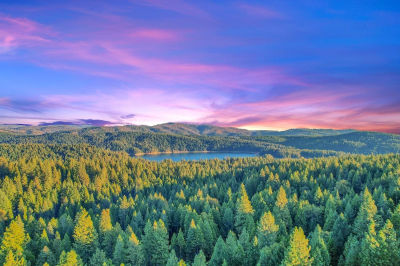 4440 Sly Park Rd Pollock Pines, CA 95726