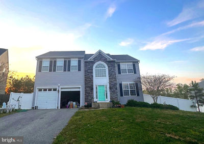 47312 Shady Knoll Pl Lexington Park, MD 20653