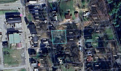 4th St Burnsville, WV 26335