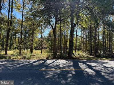 0 Laurel Rd Millsboro, DE 19966
