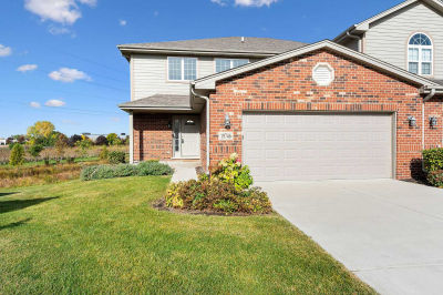 19746 Sunset Court, Tinley Park, IL, USA