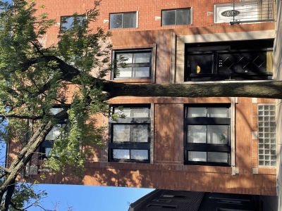 721 South Carpenter Street, Chicago, IL, USA