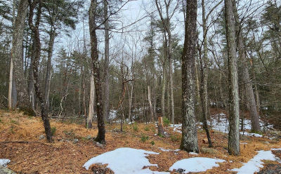 Deer Hill Rd Wurtsboro, NY 12790