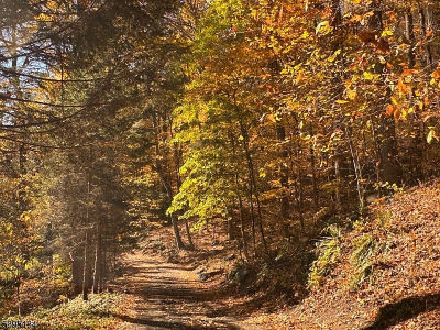 3 Rock St N Belvidere, NJ 07823