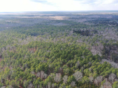 137 N Maple Ave Tuckerton, NJ 08087