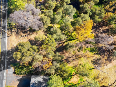 19795 Ferretti Rd Groveland, CA 95321