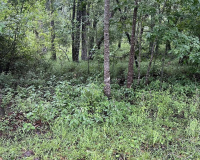 0 SE Kachina Ave Lee, FL 32059