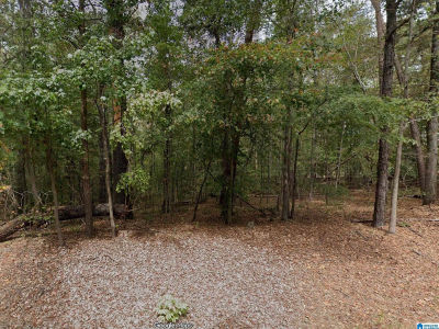 15001 Lock 17 Rd #6.435 Adger, AL 35006