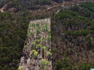 15045 Lock 17 Rd #1 Adger, AL 35006