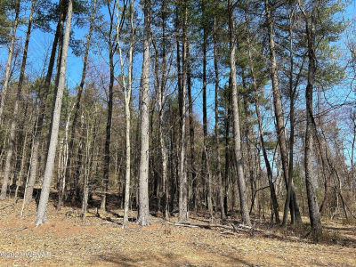 Tallman Hollow Rd LOT 4 Montoursville, PA 17754