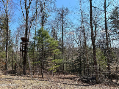 Tallman Hollow Rd LOT 5 Montoursville, PA 17754