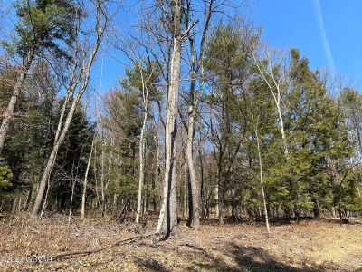 Tallman Hollow Rd LOT 2 Montoursville, PA 17754