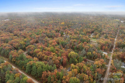 1305 E Henry St Idlewild, MI 49642