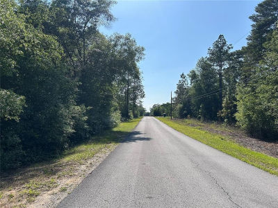 SW Audubon Ave LOT 35 Dunnellon, FL 34431
