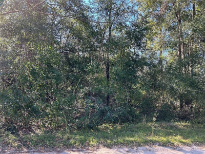 NE 138th Ter #26 Williston, FL 32696