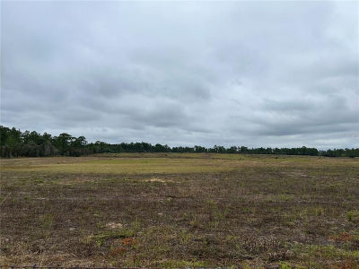 14231 SE 80th St Morriston, FL 32668