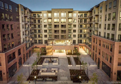 20 Wilcox St #316 Castle Rock, CO 80104