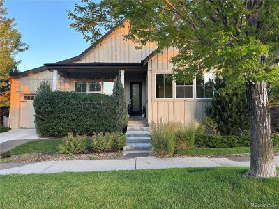 19 S 45th Ave Brighton, CO 80601