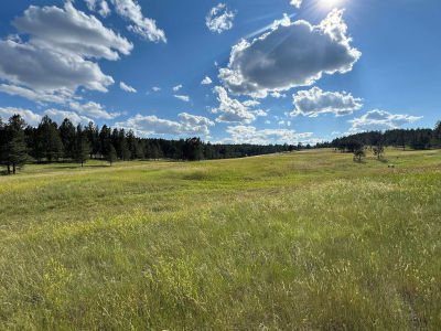 Hart Rd Hot Springs, SD 57747