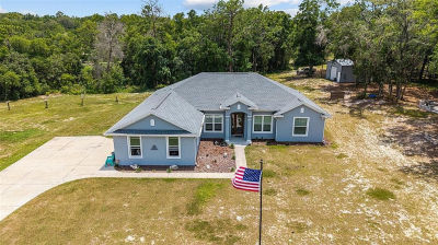 10254 SE 118th Ln Belleview, FL 34420