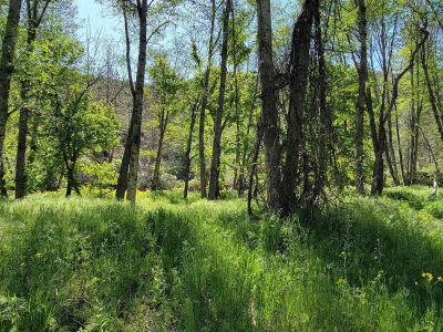 006-350-160 Humbug Creek Rd Yreka, CA 96097