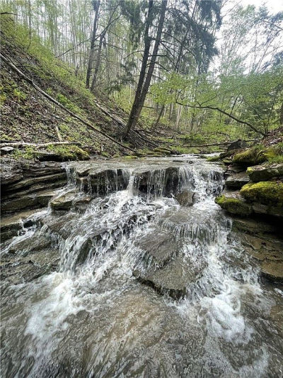 0 Ruttin Rd Scio, NY 14880