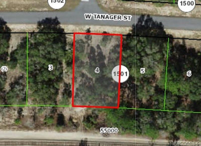 2654 W Tanager St Citrus Springs, FL 34433
