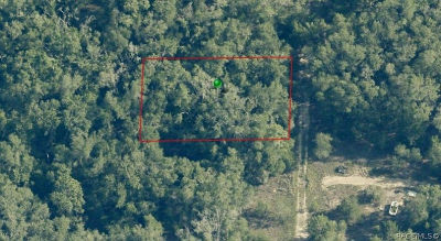 703 Dalwood Ave Inverness, FL 34453