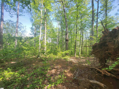 121 Laurel Valley Way Travelers Rest, SC 29690