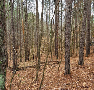 461 Cowford Bridge Rd Spartanburg, SC 29302