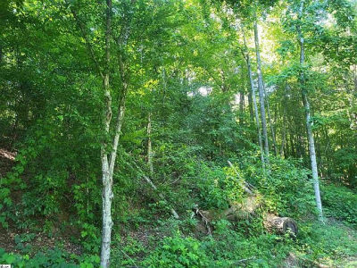 0 Hidden Valley Rd Marietta, SC 29661