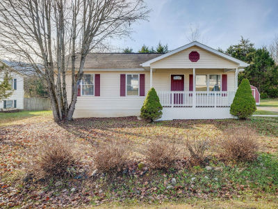 323 Mountain Ash Dr Dryden, VA 24243