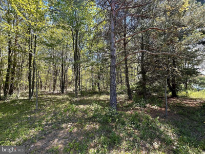 0 Harris St Philipsburg, PA 16866