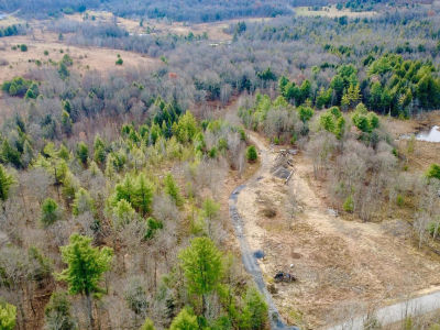 1042 Lower Hollow Rd Morrisdale, PA 16858