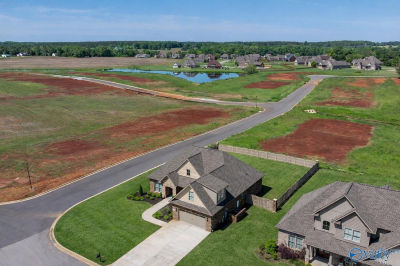 29458 Carnaby Ln Toney, AL 35773
