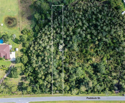 Paddock St LOT 664 Orlando, FL 32833