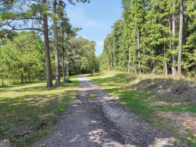 584 Moccasin Gap Rd Jackson, GA 30233