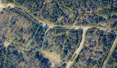 220 Gadson Drive Lot 46 Fayetteville, GA 30214