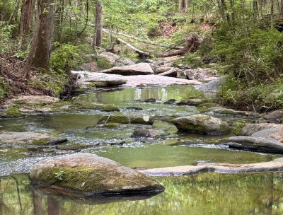 449 Old Indian Springs Rd Forsyth, GA 31029