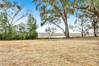 0 Coopers Point Dr NE Lot 39 Townsend, GA 31331