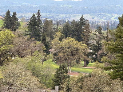 1167 Castle Oaks Dr Napa, CA 94558