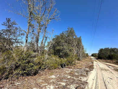 0 NE 63rd Pl Williston, FL 32696